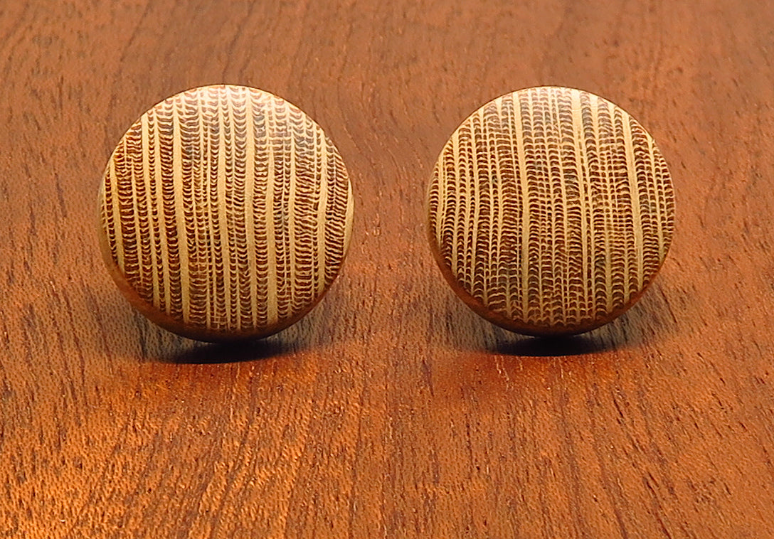Silky Oak Stud Earrings