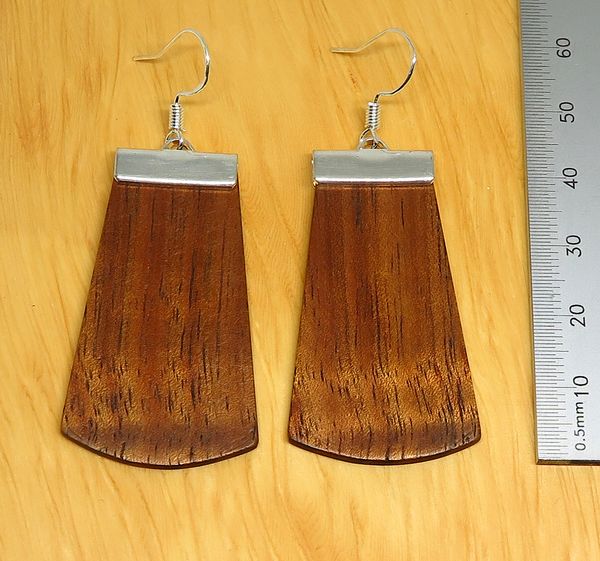 Tasmanian Blackwood and metal Drop Earrings