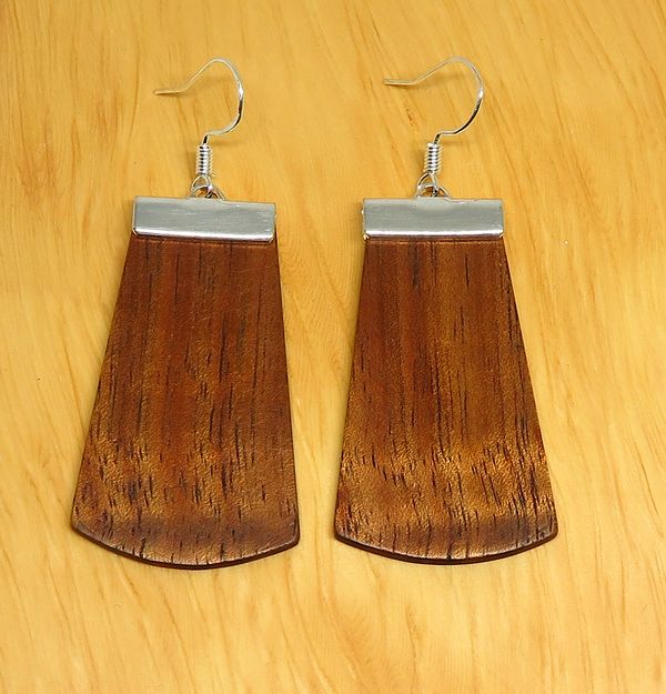 Tasmanian Blackwood and metal Drop Earrings