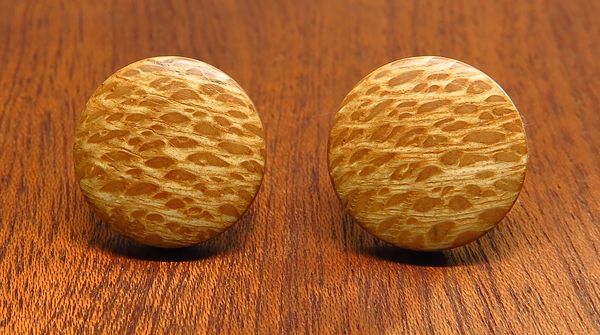 Banksia Round Stud Earrings