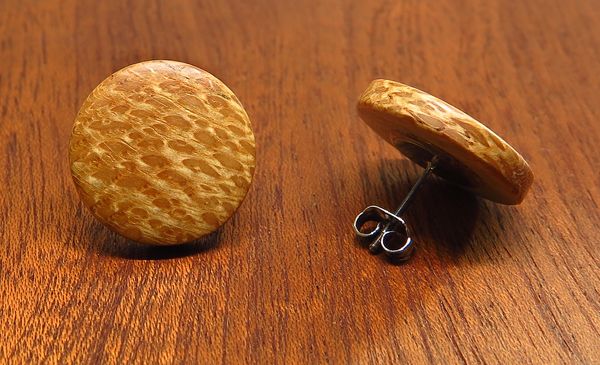 Banksia Round Stud Earrings