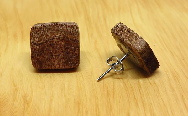 Tasmanian Blackwood small square studs